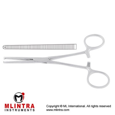 Ochsner-Kocher Haemostatic Forcep Straight - 1 x 2 Teeth Stainless Steel, 26 cm - 10 1/4"